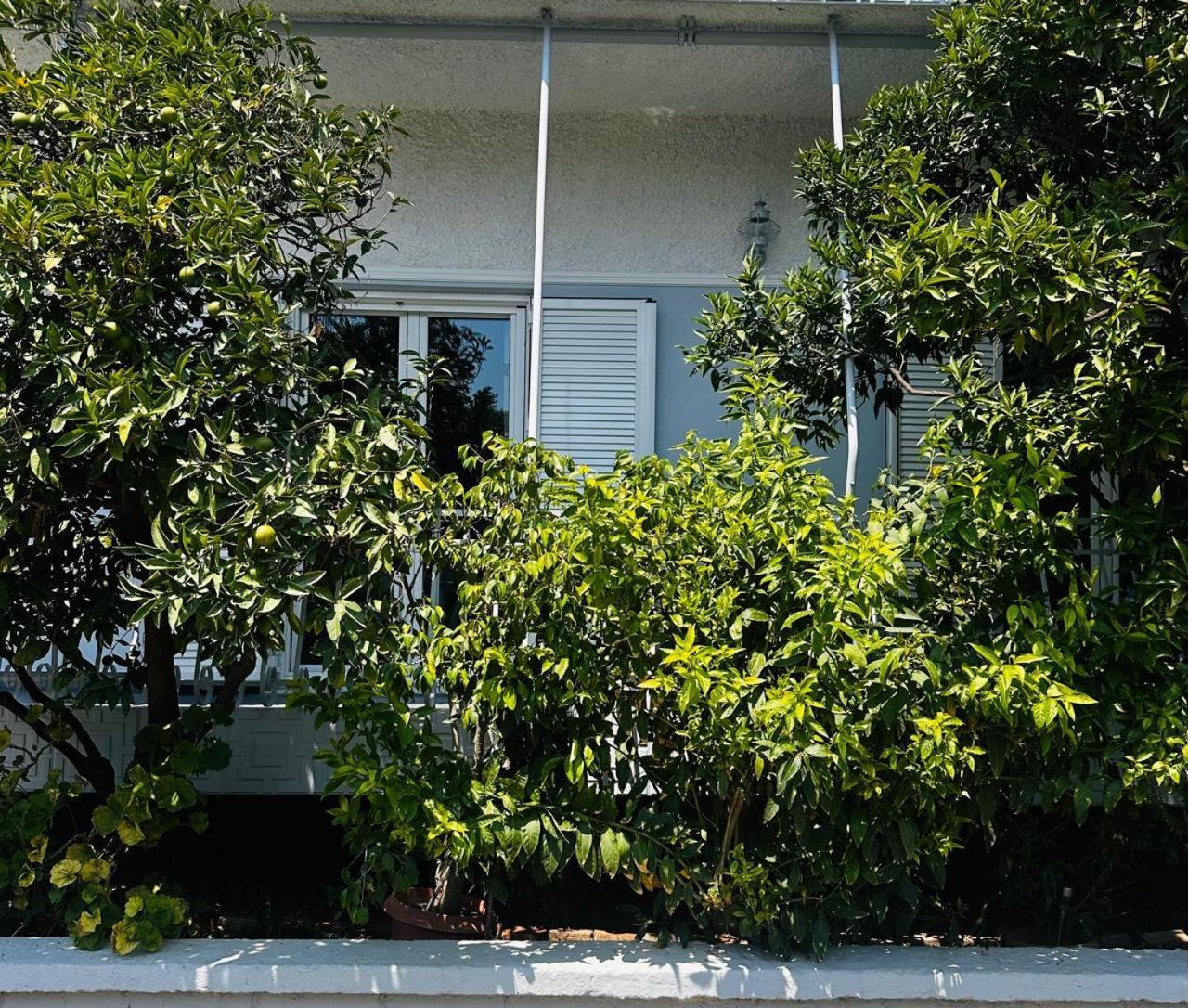 Apartamento Sotiris Mandarin House Diakopto Exterior foto